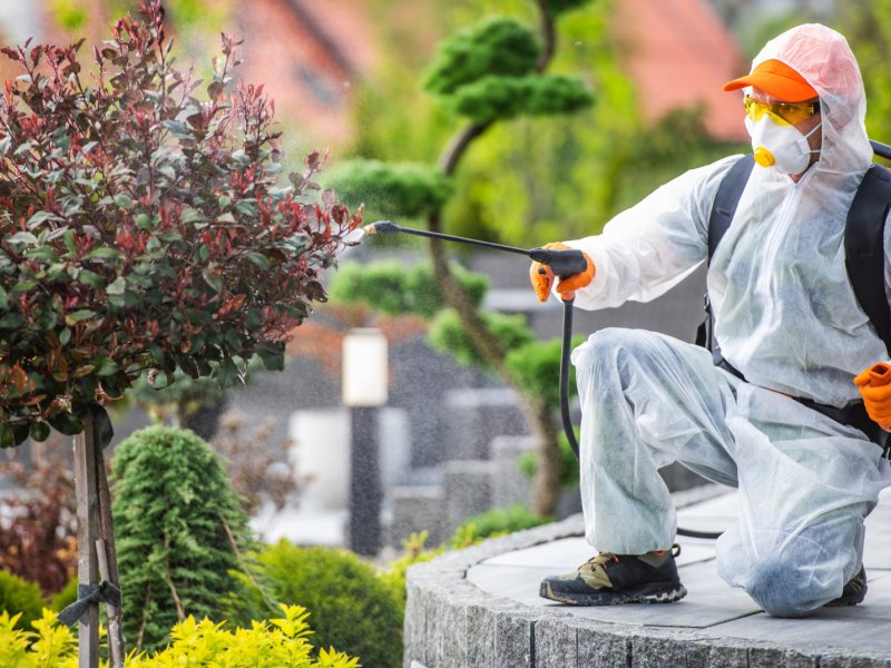 Korgan Haşere İlaçlama